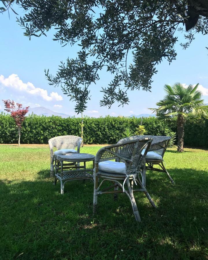 Villa Laregina Grisolia Exterior photo